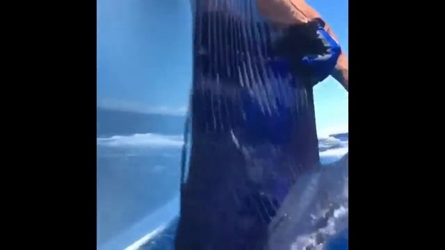 Big Kahuna Game Fishing and friends!!! смотреть онлайн