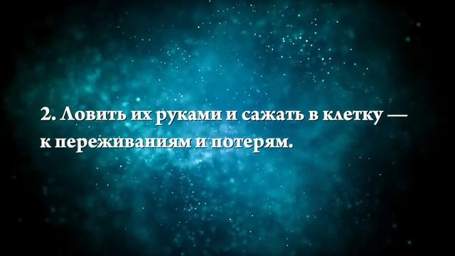К чему снится маленькие мыши - Онлайн Сонник Эксперт смотреть онлайн