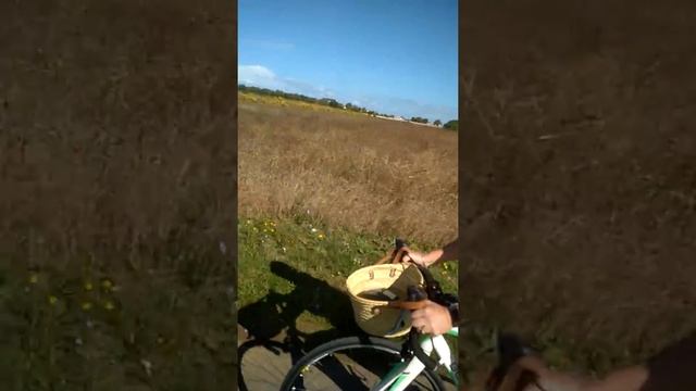 Cycling Il De Re смотреть онлайн