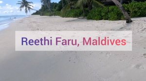 Reethi Faru Resort, Мальдивы. Остров по кругу. Выход со всех вилл к морю