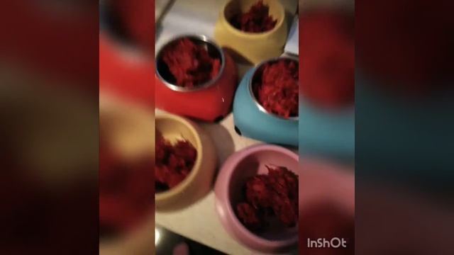 Здоровое питание шпица смотреть онлайн