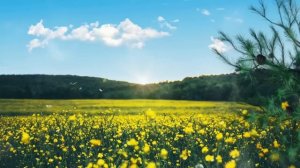 ИСЦЕЛЕНИЕ души | Аффирмации для пробуждения ВАШЕГО внутреннего СВЕТА | Аффирмации для женщин 1 час