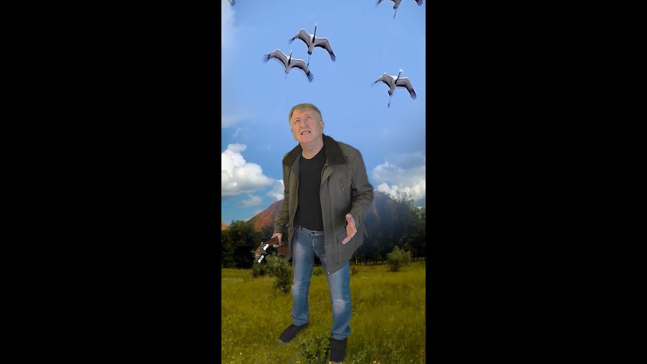 Февральским ветром