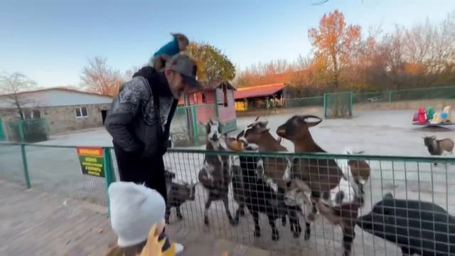 Ангелина с Люсей пошли погулять по парку и покормить жителей БАБУШКИНОГО ДВОРИКА! смотреть онлайн