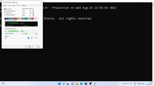 How to change SQL plus background | oracle 21c background change смотреть онлайн