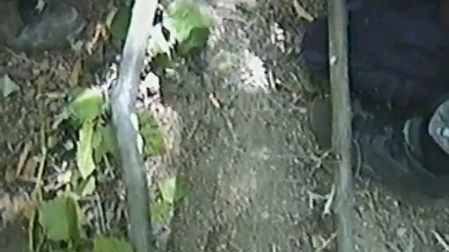 BSI2 031 смотреть онлайн