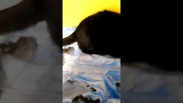 и мы с другом открыли свой сервере в Майнкрафте айпи в описание