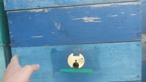 Вывод маток с помощью Джентерского сота от А до Я!!!