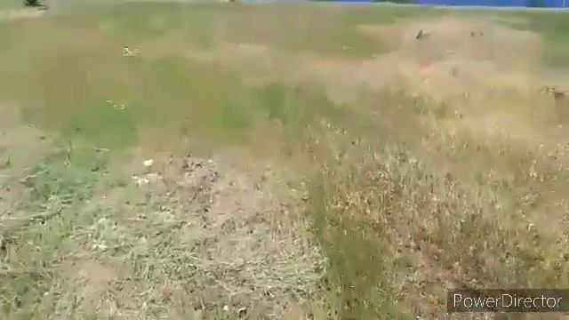 косим сена с утра до вечера день 2 часть 2 смотреть онлайн