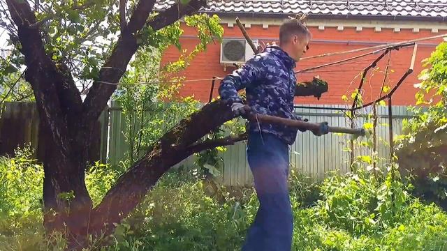 Удаляю часть старого дерева в Доме на Юге но не удачно смотреть онлайн