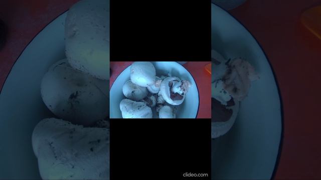 Собрала грибы во дворе.