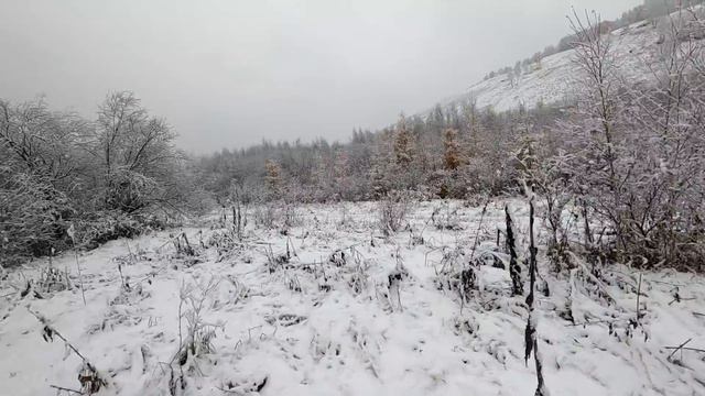 Рыбалка на ХАРИУСА/Выпал СНЕГ/Проверка ПЛЕСА/хорошо но мало,на УХУ. смотреть онлайн