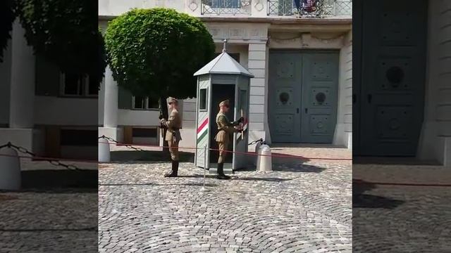 Будапешт. Королевский дворец. Смена почетного караула. #Будапешт #Венгрия #Hungary #Budapest #palac