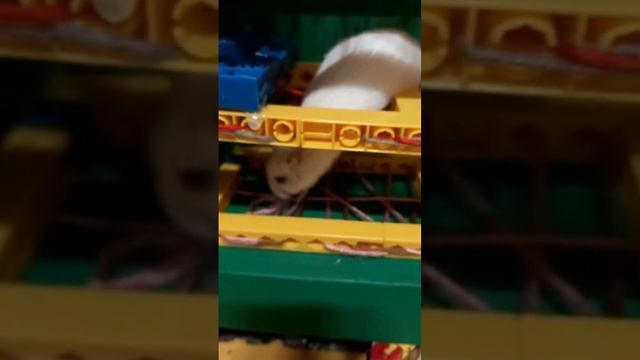 Hamster Hero смотреть онлайн