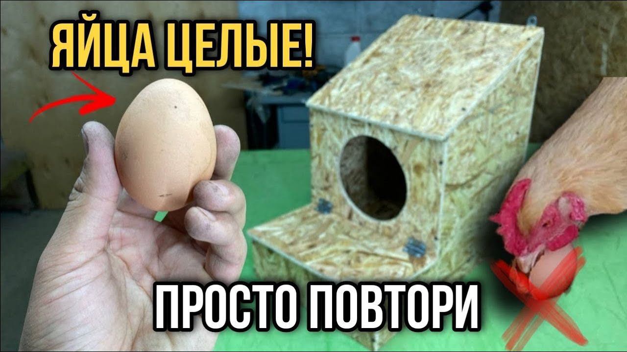 Гнездо для кур с яйцесборником смотреть онлайн