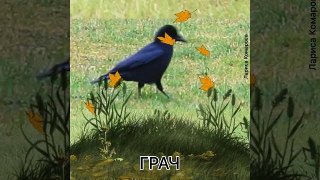 Перелётные птицы. Занятия с детьми.