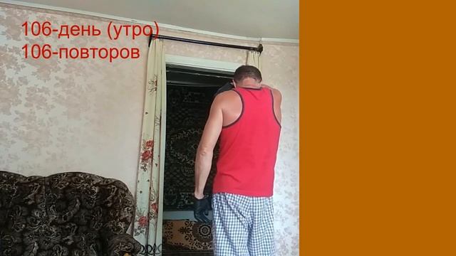 106 день подтягивания на турнике (утро-вечер) смотреть онлайн