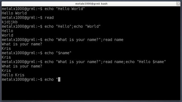 Shell Basics - echo and read - Linux Tutorial #1 смотреть онлайн