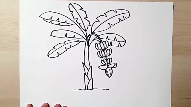 HOW TO DRAW a Banana Palm Tree, the leaf and the fruit - drawing for kids - coloring with markers смотреть онлайн