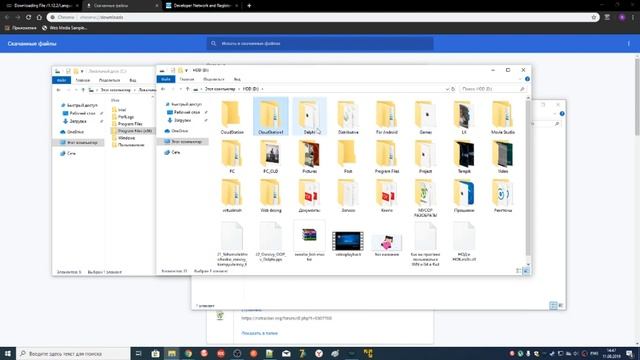 Устанавливаем TortoiseSVN, используем в Delphi, заливаем на Synology смотреть онлайн