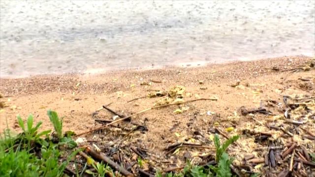 Для тебя )))Умение отпускать упрощает твою жизнь...