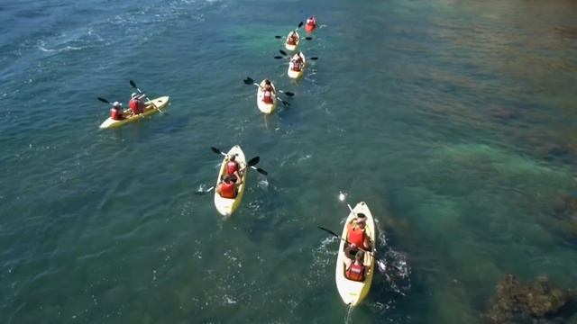 Discover Tours Ponta da Piedade смотреть онлайн