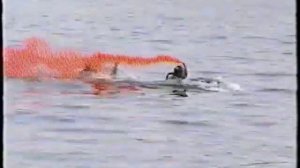 Гимн спецназа БФ. Морской спецназ Балтийского Флота - Парусное, в/ч 10617  #вмф  #диверсанты #10617