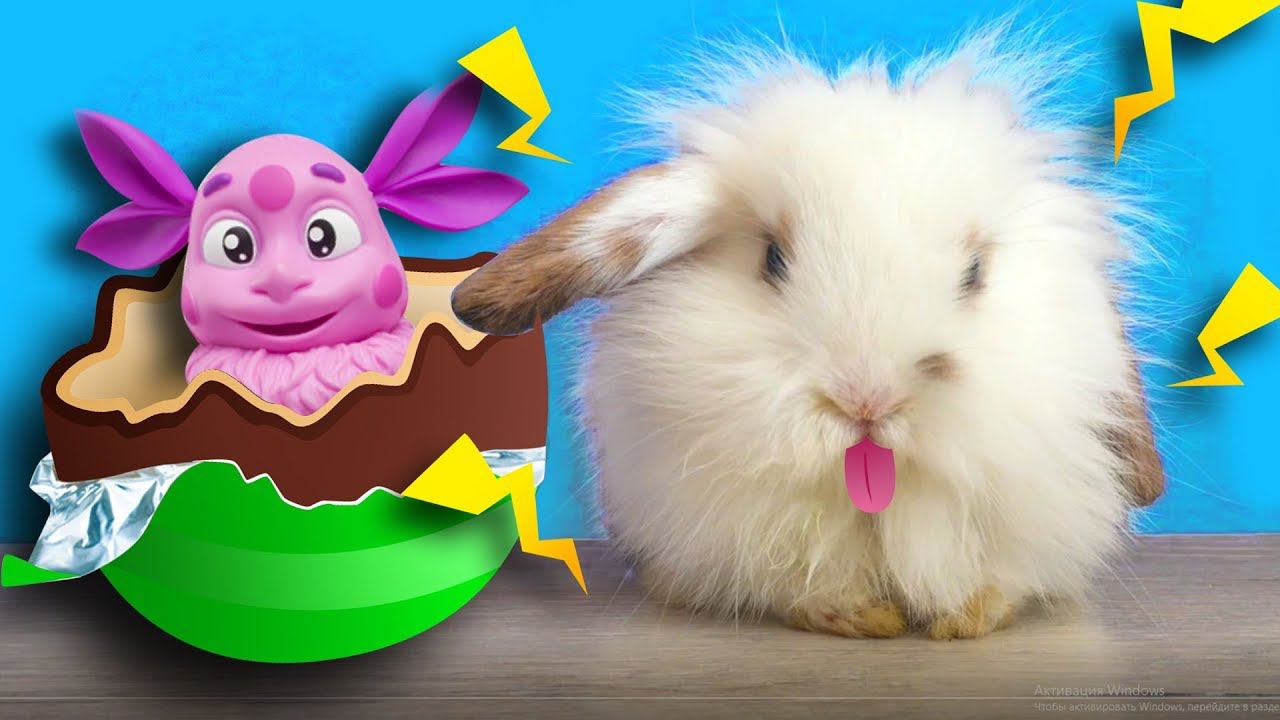 КРОЛИК НОЛИК открывает ЯЙЦА СЮРПРИЗ. Собираем коллекцию игрушек Лунтик смотреть онлайн