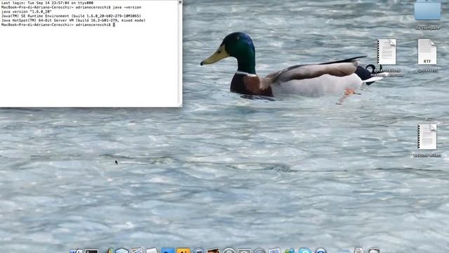 Installazione Java su MAC - corso Fondamenti di Informatica смотреть онлайн