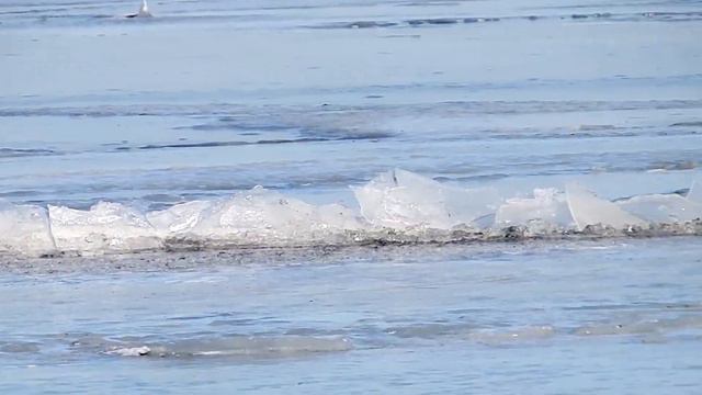 Зимний Днестровский лиман.Часть1./ Winter Dnestrovskiy firth. Part1. смотреть онлайн