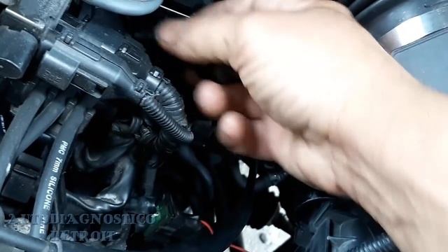 KIA SPORTAGE EXCESIVO CONSUMO DE GASOLINA смотреть онлайн