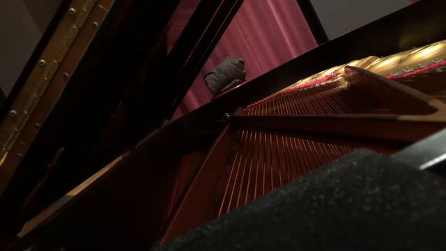 Steinway D смотреть онлайн