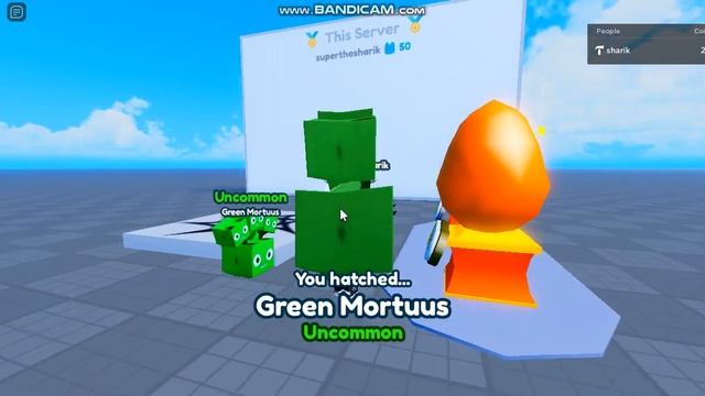 PET SIMULATOR X FREE PET SYSTEM UNCOPYLOCKED | ROBLOX STUDIO смотреть онлайн