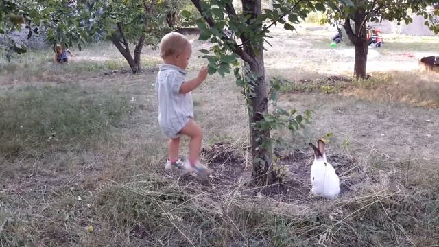 Двойняшки играют с зайчиком. Белый зайчик любимец детей. Дети и животные смотреть онлайн