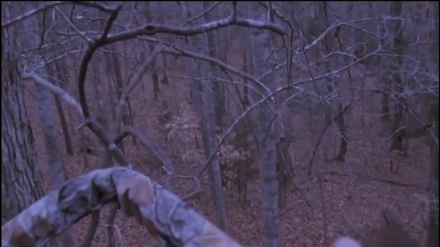 Йети, Гигантопитек,снежный человек ,голос снежного человека Gigantopithecus, Bigfoot, Bigfoot Voice смотреть онлайн