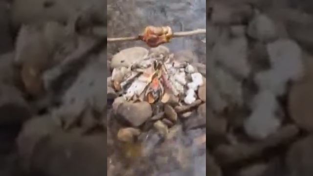 Как правильно жарить утку смотреть онлайн