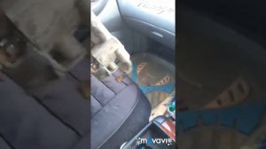 Дросельная заслонка NISSAN Presage KA24DE