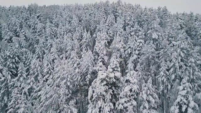 Содержание дикого ежа. Ёж пробует разную еду. Как взять ежа в руку. Зубы ежа // Авантюрист смотреть онлайн
