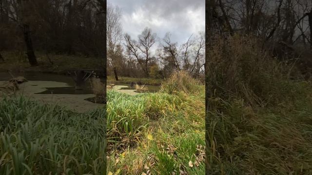 #рыбалка #рыбаки #лодка #улов #речка #удочка