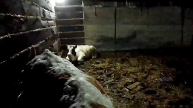 #Строим сарай из шпалы #Утепляем потолок! #Зашиваем фронтон! смотреть онлайн