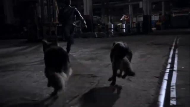 Teen Wolf Derek Hale Run from Police and Hunters (Season1Episode9) смотреть онлайн