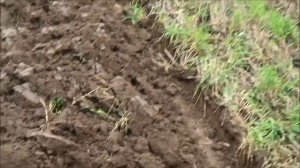 Мой новый самодельный оборотный плуг, работа и качество работы