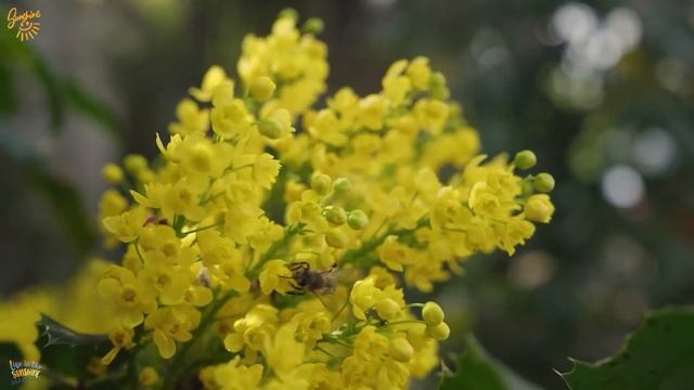 Исцеляющая музыка, чтобы снять стресс, усталость и депрессию, выпустить негативные эмоции #2 смотреть онлайн