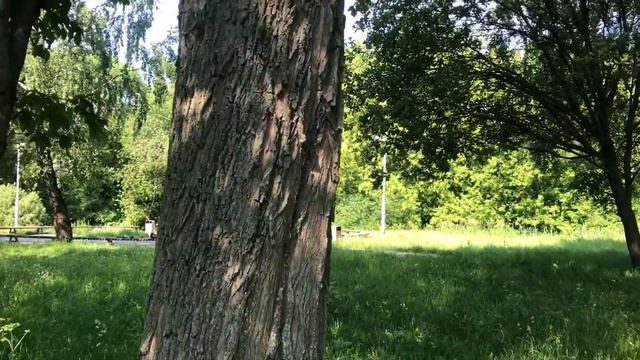 Урок 8 мобильная фотография на природе смотреть онлайн