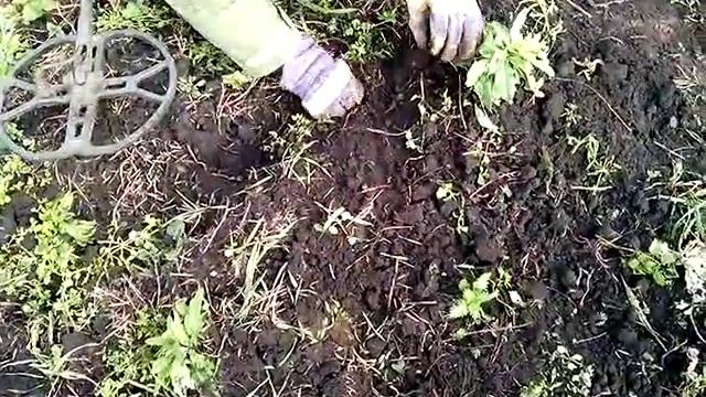 коп домовой ямы.осень 14года. смотреть онлайн