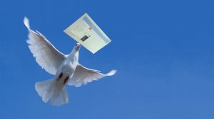 «Письма на небо». Александр Райн.