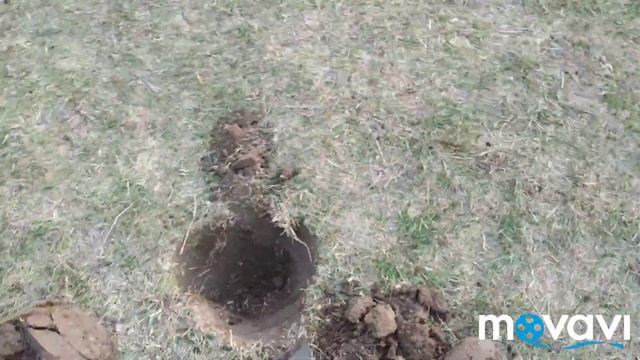 По следам прошлого. Поиск монет с металлоискателем, Minelab X-terra 705 смотреть онлайн