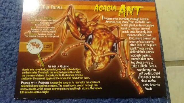 weird n' wild creatures #5 tiny tarrors смотреть онлайн