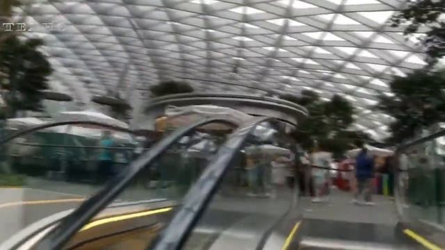 Аэропорт Changi в Сингапуре ✦ Будущее уже наступило
