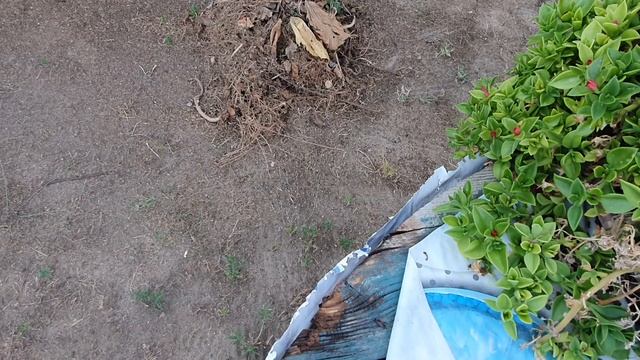 ВСЁ ХОЧЕТСЯ А ВРЕМЕНИ НЕТ/муж МОЛОДЕЦ/вот так мы ДНИ ПРОВОДИМ/КАЕТАНА ПОМАГАЕТ/СТРОИМ КУХНЮ смотреть онлайн